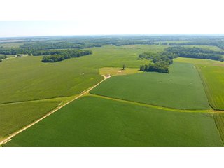 Property photo 10 - LAND AUCTION - 1,193+/- ACRES IN 14 TRACTS IN PIKE & GIBSON COUNTY, INDIANA